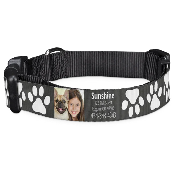 Pet Collar - Image 2