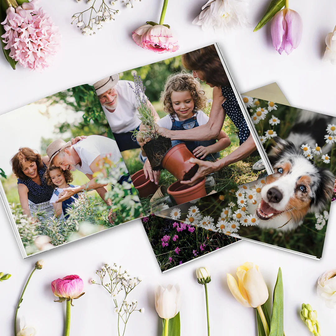 Photo Books - Image 12